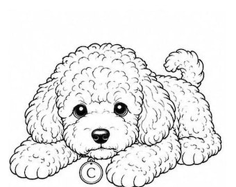 Toy Poodle Laying Down PNG | Relaxing Puppy Coloring Book Clipart | Dog Line Art | Instant Digital Download