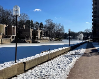Frozen Lake Anne Reston VA Photography | 2 Winter Landscape JPG Downloads | Virginia Nature Wall Art | Printable Digital Photos