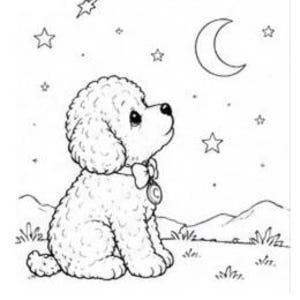 Op de afbeelding: Een zwart-wit lijntekening van een krulharige puppy die zit en omhoog kijkt naar een maansikkel en sterren aan de nachtelijke hemel. De puppy draagt een halsband met een ronde penning en een strik, tegen een eenvoudige achtergrond van heuvels.