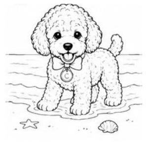 Beach Toy Poodle Coloring Page | Ocean Puppy Printable | Summer Dog Coloring PNG