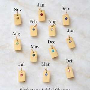 Op de afbeelding: Twaalf rechthoekige gouden bedels, elk met een ingelegde geboortesteen en een klein ringetje. Elke bedel is gelabeld met een afkorting van drie letters voor de maand. De tekst "Birthstone Initial Charms" en "chic mama JEWELRY" staan onderaan.
