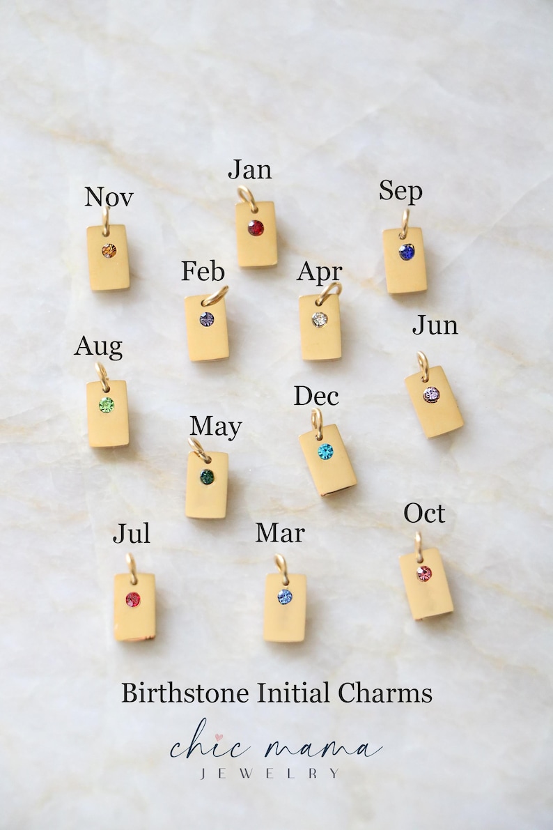 Op de afbeelding: Twaalf rechthoekige gouden bedels, elk met een ingelegde geboortesteen en een klein ringetje. Elke bedel is gelabeld met een afkorting van drie letters voor de maand. De tekst "Birthstone Initial Charms" en "chic mama JEWELRY" staan onderaan.