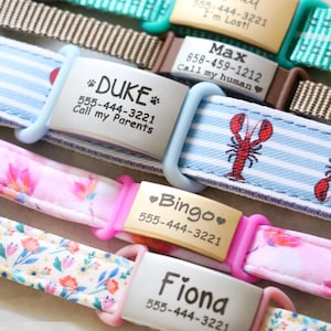 May include: Close-up of several pet collars with personalized nameplates. The collars feature various patterns and colors, including stripes and floral designs. Each nameplate displays a pet's name and a phone number.