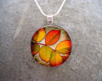 Autumn Splendor - Orange, Red, Yellow Leaves - 1 Inch Diameter Domed Glass Pendant Necklace -  Free Shipping - Style AUTUMN03