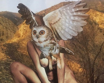 Her Power: 11”x14” Surreal Owl Collage Art Print