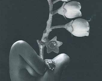 11”x14” Kunstdruck -Bloom- High Quality-Home Decor- Interior Design-Poster