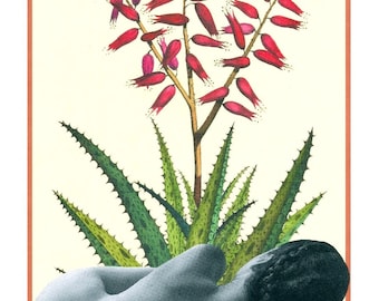 11”x14” Kunstdruck -Ohne Titel- High Quality-Home Decor-Innendesign-Poster