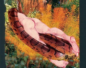 May include: A collage featuring a nude figure intertwined with a brown and black snake, set against a backdrop of orange and green foliage.