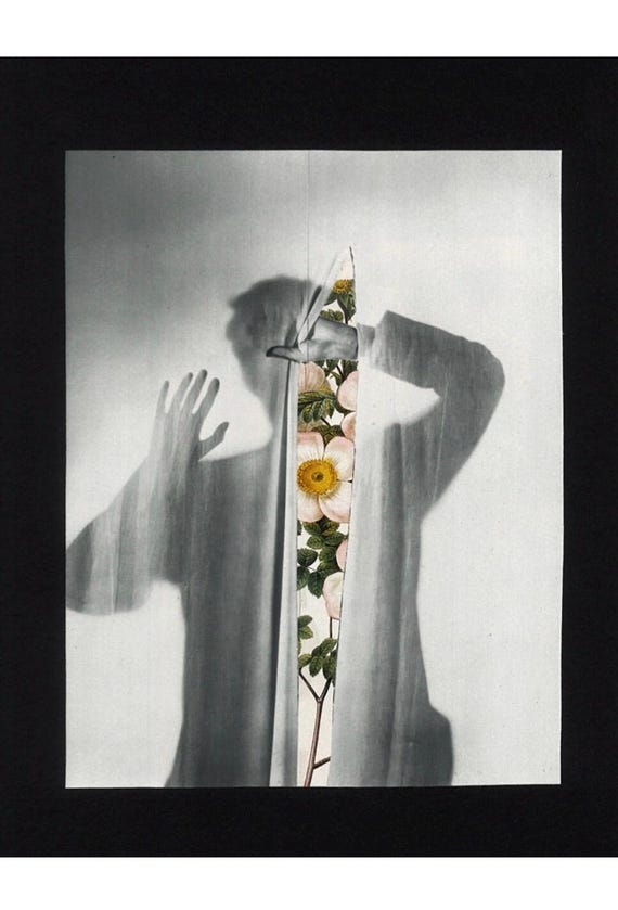 Veiled Bride – Collage Art. Behind the Veil: 11”x14” Fine Art Print- Botanical Art/ Masculine