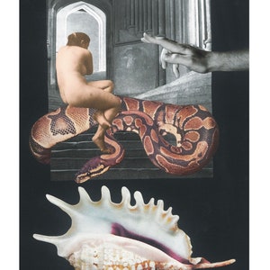 May include: A woman sits on a large brown and black snake, with a hand reaching out from the top of the image. A large white seashell with a purple interior is in the bottom of the image.