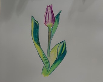 Original Pencil Sketch Flower: Realistic Floral Art (9"x12")
