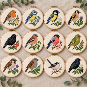 May include: Twelve circular wooden embroidery hoops containing cross-stitch patterns of various birds, including a robin, blue tit, goldfinch, blackbird, bullfinch, and starling, each perched on botanical elements like flowers, berries, and leaves.