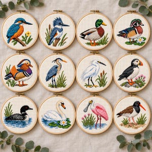 Puede incluir: Doce bastidores de bordado circulares con diseños en punto de cruz de varias aves, incluyendo un martín pescador, ánade real, pato mandarín, garza, garceta, frailecillo, colimbo, cisne, espátula rosada y ostrero, sobre fondo de tela blanca.
