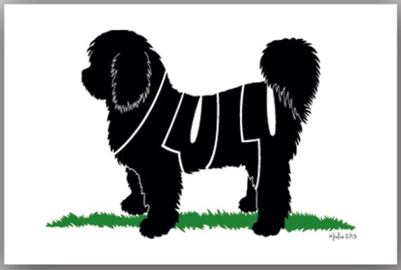 Personalized Shih Tzu Short Hair 7 X 5 Or Etsy
