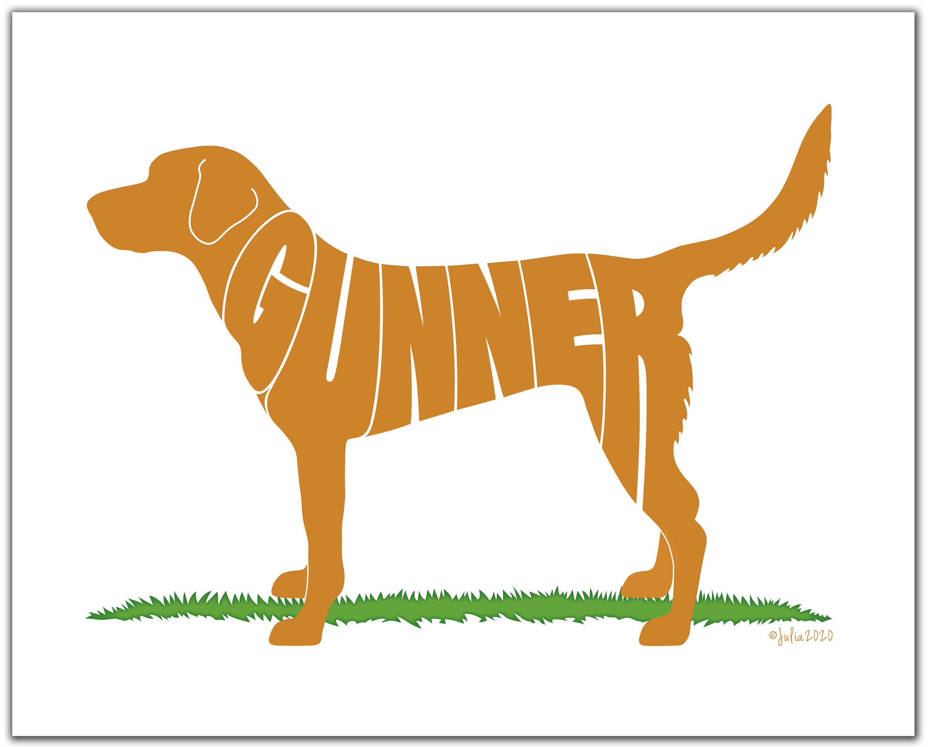 Fox Red Labrador 7