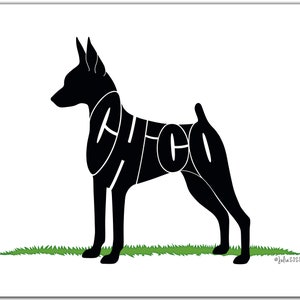 May include: Black silhouette of a dog with the name "Chico" spelled out in its body. The dog is standing on a patch of green grass.