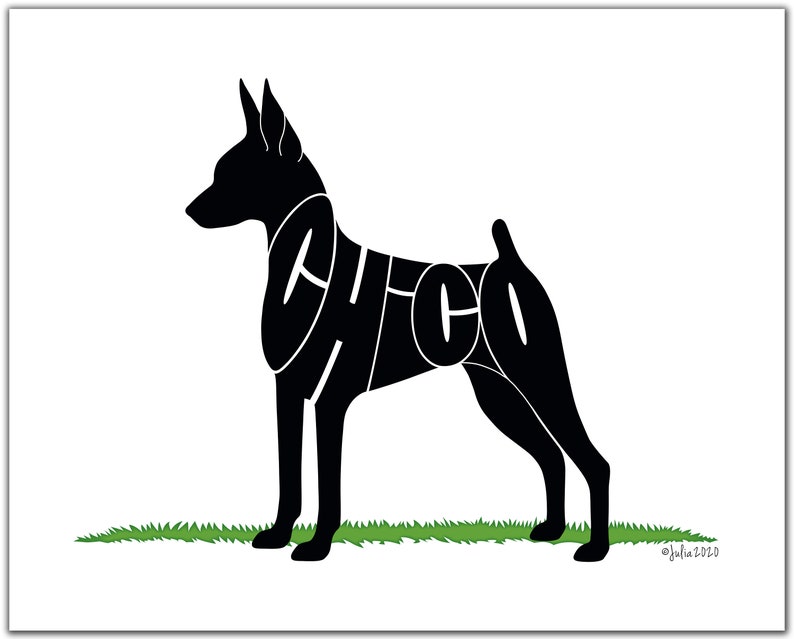 May include: Black silhouette of a dog with the name "Chico" spelled out in its body. The dog is standing on a patch of green grass.