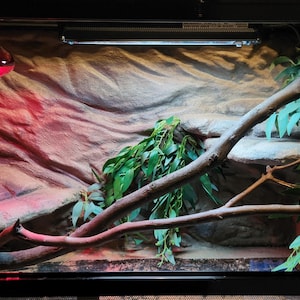 May include: A rectangular reptile terrarium featuring a textured rock-like background, a large brown wooden branch extending across the enclosure, green artificial foliage, and a red heat lamp bulb mounted at the top left corner.