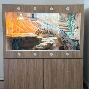 May include: A light wood-grain reptile enclosure with a glass front, featuring a textured rock-like interior background, a large piece of driftwood, artificial greenery, and a heat lamp. A small orange lizard sits on a raised rock ledge.