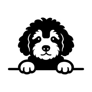 Op de afbeelding: Een zwart-witte grafische illustratie van een hond met krullend haar die over een horizontale lijn kijkt. De hond heeft een wit gezicht, snuit en poten, met zwarte oren en een zwarte kop. Het ontwerp is een contrastrijke vectorstijl.