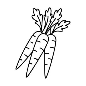 Może przedstawiać: Czarno-biała ilustracja liniowa przedstawiająca trzy marchewki zebrane razem. Każda marchewka ma zwężający się korzeń z poziomymi oznaczeniami oraz liściastą górę z poszarpanymi krawędziami, wszystko w prostym i czystym stylu graficznym.