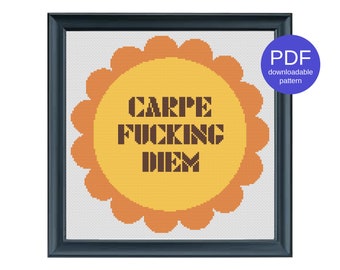 Carpe Fucking Diem Sunshine Funny Modern Instant Download PDF Offensive Inappropriate Cross Stitch Pattern