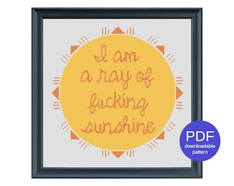 I Am a Ray of Fucking Sunshine Funny Modern Instant Download PDF Snarky Cross Stitch Pattern