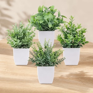 May include: A set of four artificial green plants in white square pots. Each plant features distinct foliage textures, including rounded leaves, needle-like sprigs, and pointed greenery, arranged in a cluster to display varied botanical shapes.