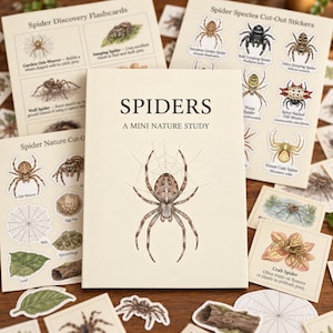 May include: A collection of educational materials titled Spiders: A Mini Nature Study, featuring a central booklet with a spider illustration, surrounded by various spider species cut-out stickers and discovery flashcards with text.