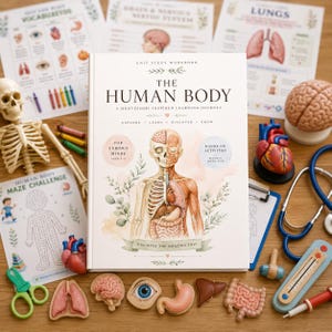 Human Body Unit Study, Montessori Science Activities, Homeschool Learning (Digital Download)