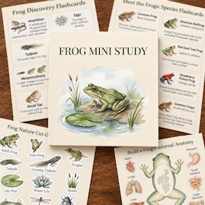 May include: A Frog Mini Study educational set featuring a central card with a watercolor frog illustration, surrounded by flashcards detailing frog life cycles, species identification, nature cut-outs, and internal anatomy diagrams with text.