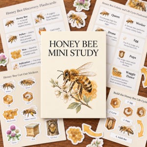 May include: A Honey Bee Mini Study educational set featuring a central card with a bee illustration, surrounded by flashcards and cut-out stickers detailing honey bee anatomy, life cycles, and pollination with descriptive text and graphics.
