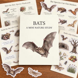Könnte beinhalten: Eine Sammlung von Lehrmaterialien mit dem Titel Bats: A Mini Nature Study, bestehend aus einem zentralen Heft mit einer braunen Fledermaus-Illustration, umgeben von Lernkarten, Lebenszyklus-Diagrammen, Habitat-Ausschnitten und Fledermaus-Stickern.