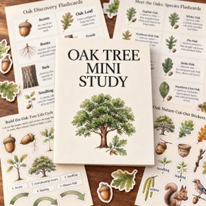 May include: A collection of educational materials titled Oak Tree Mini Study, featuring flashcards, life cycle diagrams, and cut-out stickers. The printed pages display watercolor illustrations of oak trees, acorns, leaves, and wildlife.