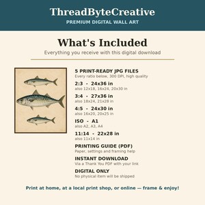 What's included with this vintage fish print digital download: five print-ready JPG files in 2:3, 3:4, 4:5, ISO A and 11:14 ratios at 300 DPI, a printing guide PDF and instant download via a Thank You PDF — no physical item shipped