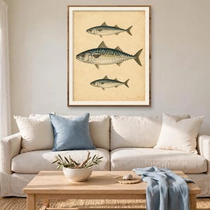 Antique fish print in a wood frame above a linen sofa in a coastal living room — vintage mackerel illustration wall art for beach house and lake house decor