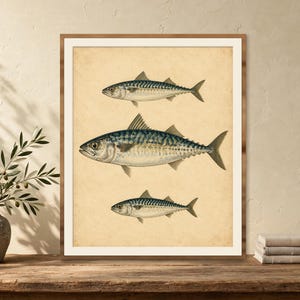 Vintage fish print of three antique mackerel illustrations on aged parchment, framed and leaning on a rustic wooden table with a stone vase of olive branches and books — nautical coastal wall art, digital download