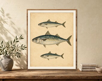 Vintage Fish Print, Antique Mackerel Illustration, Nautical Coastal Wall Art Printable, Gift for Fisherman