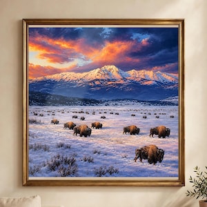 May include: A framed landscape print featuring a herd of brown bison grazing in a snow-covered field. In the background, snow-capped mountains rise under a vibrant sunset sky with orange, pink, and deep blue clouds.