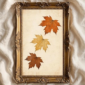 May include: A rectangular wall art piece featuring three pressed maple leaves in shades of orange, yellow, and brown, displayed on a cream-colored background within an ornate, antique-style gold-toned frame with intricate carved detailing.