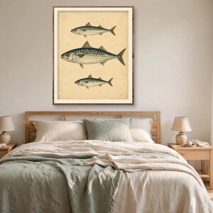 Vintage mackerel fish wall art in a wood frame above a bed with cream and sage linen bedding in a calm bedroom — antique nautical print, printable wall art