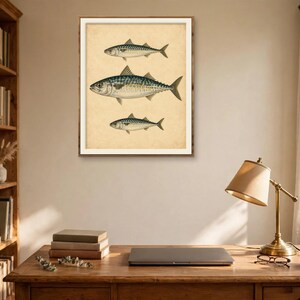 Antique mackerel fish print in a wood frame above a wooden desk with books and a brass lamp in a cosy study — vintage fishing wall art for a fisherman's office
