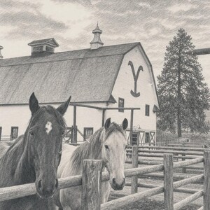 May include: A graphite pencil drawing of two horses standing behind a wooden fence in front of a large barn. The barn features a prominent Y-shaped brand on its side, a cupola, and a shingled roof. A tall pine tree stands to the right.