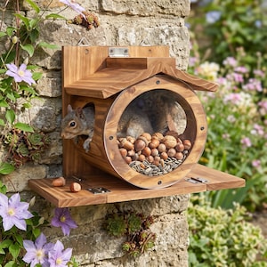 May include: A wooden squirrel feeder with a clear circular front panel, a hinged roof, and a flat platform base. The feeder is filled with a mix of acorns, walnuts, and sunflower seeds, with a gray squirrel visible inside the wooden structure.