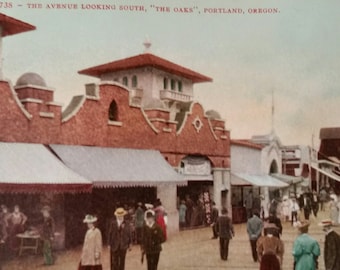 Antique du début des années 1900 Portland Oregon Carte postale des chênes