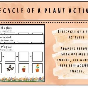 Könnte beinhalten: Ein ausdruckbares Arbeitsblatt mit dem Titel Lifecycle of a Plant Activity, das Kästchen zur Anordnung der Wachstumsphasen einer Pflanze enthält. Das Blatt zeigt Illustrationen von Samen, einem Keimling und einer Sonnenblume im Topf mit Anweisungen.