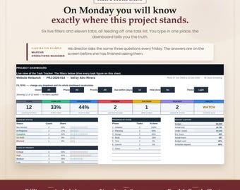 Project Management Template for Excel and Google Sheets, Gantt Chart, Task Tracker Spreadsheet, Project Planner Dashboard, Offline App