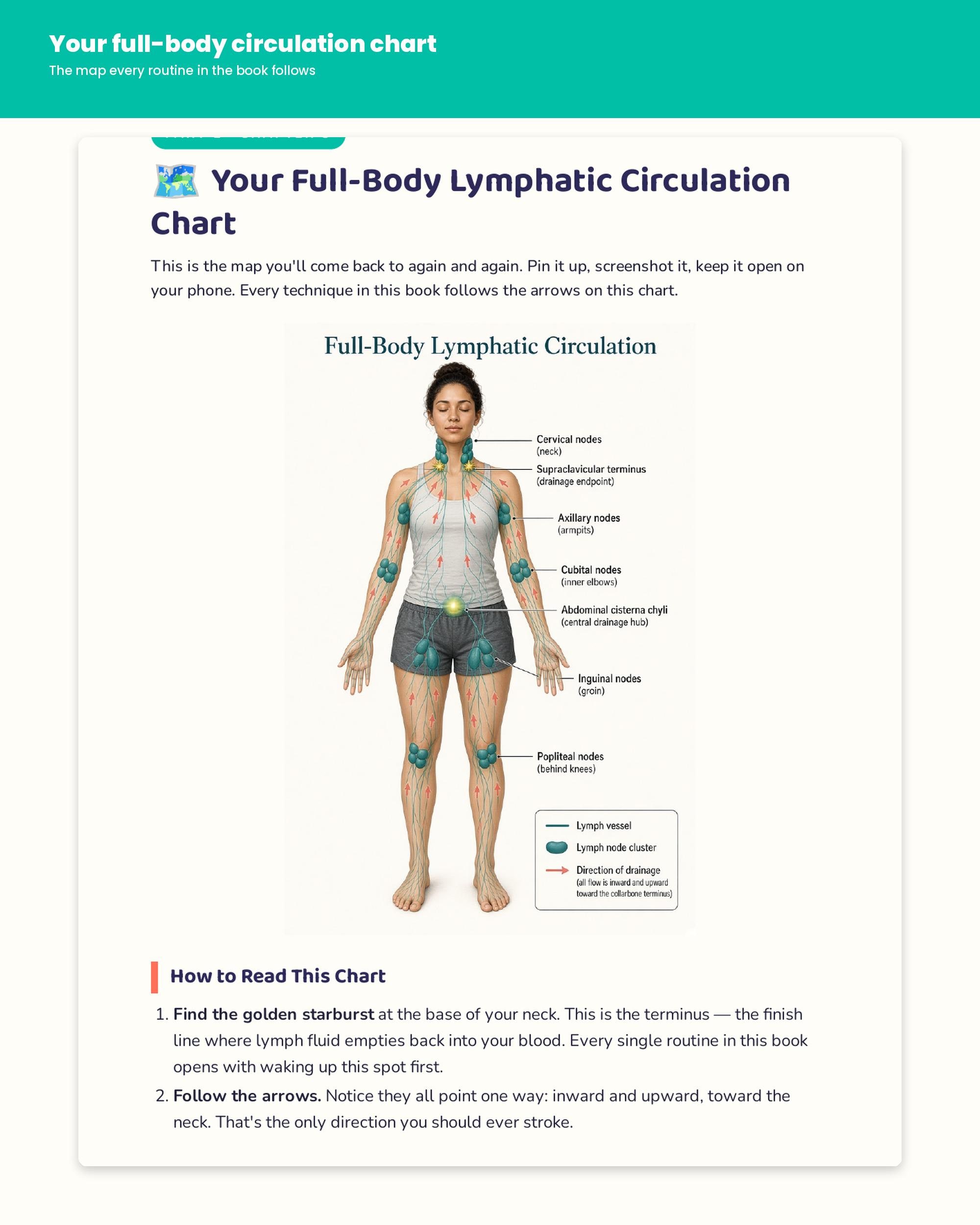 Full body lymphatic drainage massage at home chart showing lymph node areas and flow direction