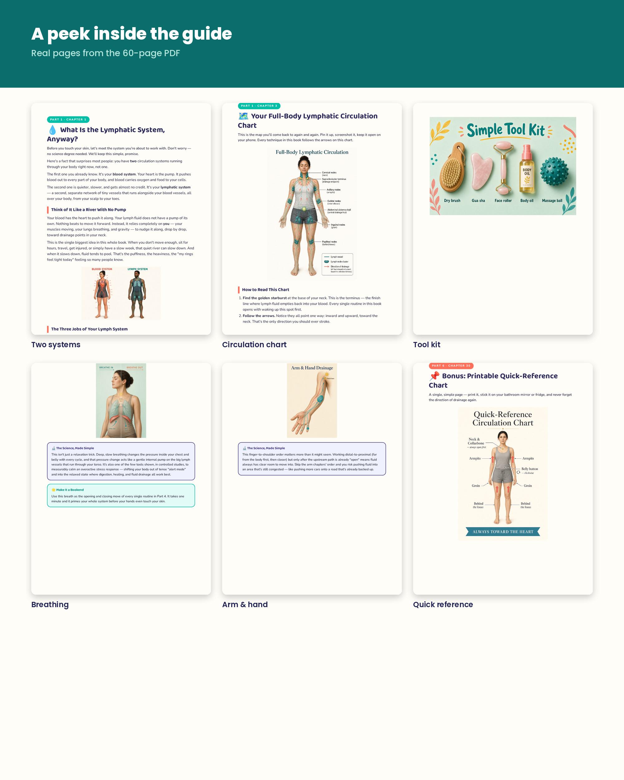 Sample pages from the lymphatic drainage guide with illustrated self massage steps for each body region