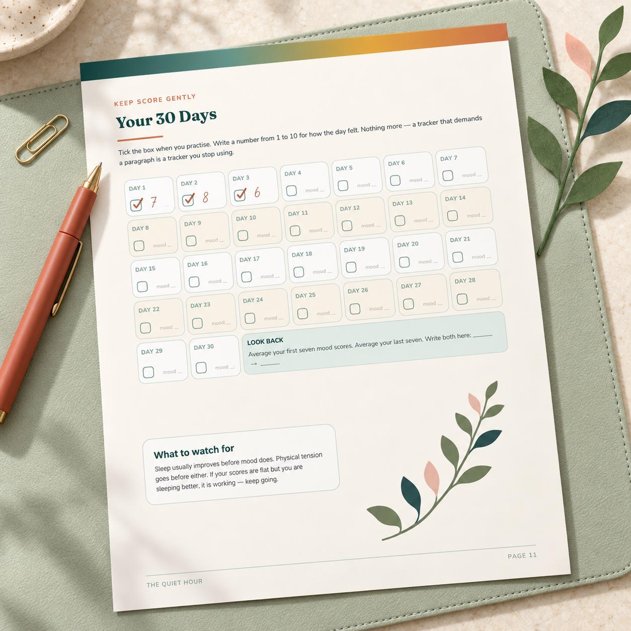 Daily gentle yoga routine page with morning and evening options